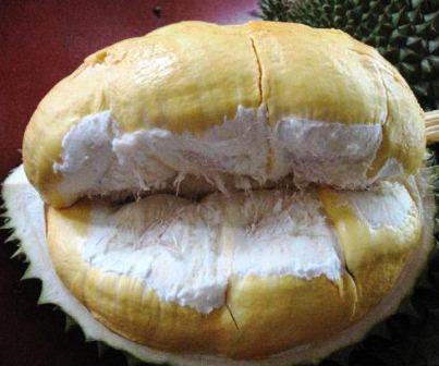 Daging Buah Durian Bawor