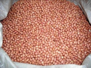 Harga Kacang Tanah Kering (Ose)