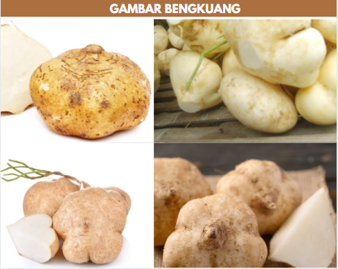 gambar bengkuang