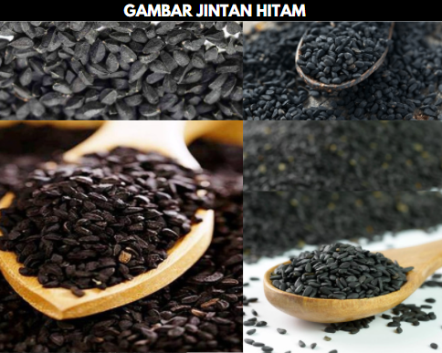 gambar jintan hitam