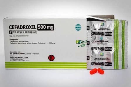 Harga Cefadroxil