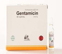 Harga Gentamicin Ampul