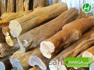 Harga Kayu Cendana