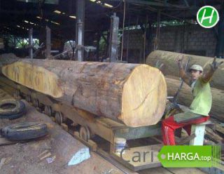 Harga Kayu Kalimantan