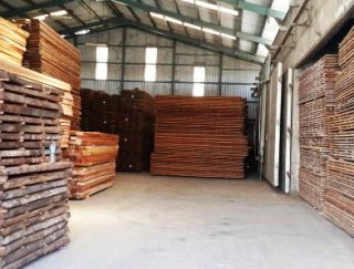 Harga Kayu Meranti Oven