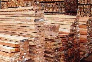 Harga Kayu Reng Kamper