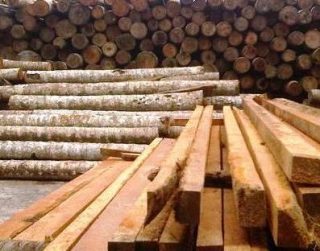 Harga kayu kelapa per kubik