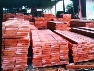 Harga kayu meranti merah