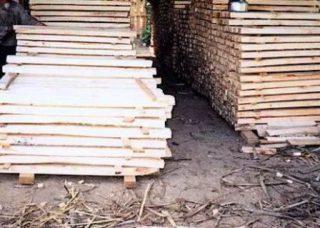 Harga kayu sengon papan