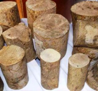 Harga kayu ular batangan