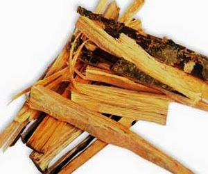 Harga kayu ular per gram