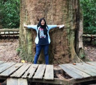Pohon Kayu Besi Kalimantan