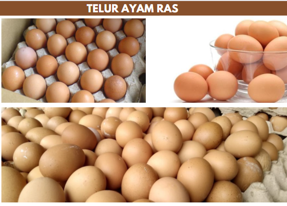 Telur Ayam Ras