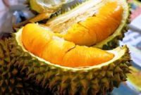 Buah Durian Musang King