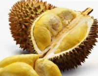 Buah Durian Petruk