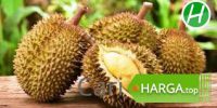 Harga Buah Durian