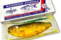 Harga Ikan bandeng juwana