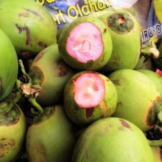 Harga Kelapa Hijau Wulung