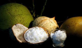 Harga Kelapa Kopyor