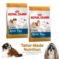 Harga Makanan Anjing shih tzu