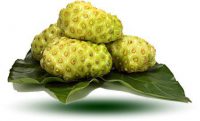 Buah Mengkudu Morinda