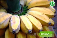 Harga Pisang Kepok