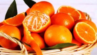 Harga jeruk sunkist