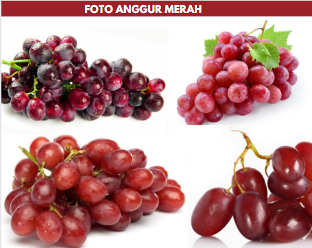 foto anggur merah