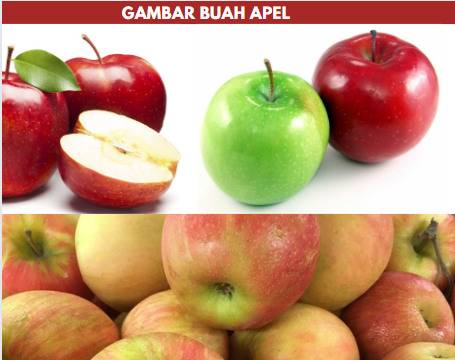 gambar buah apel