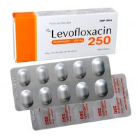 Harga levofloxacin 250 mg