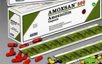 Harga Amoxsan