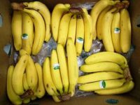 Harga Pisang Sunpride 1 dus