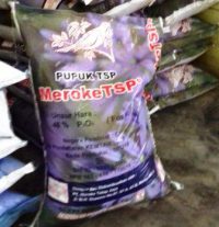 Harga pupuk Tsp cap burung