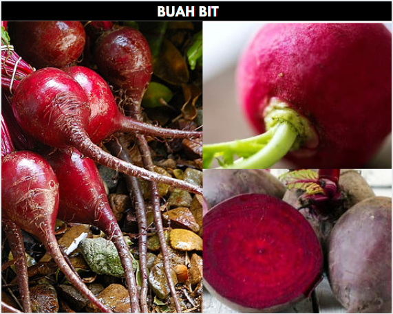 Gambar Buah Bit