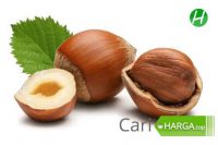 Harga Hazelnut