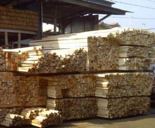 Harga Kayu 4x6 Kasau Sengon