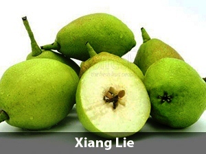 Harga Pear Xiang Lie