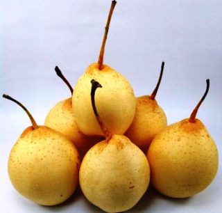 Harga Pear Yalie