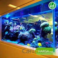 Harga Aquarium Besar