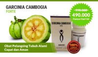 Harga Garcinia Cambogia Forte