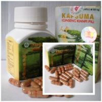 Harga Obat Kianpi Pil