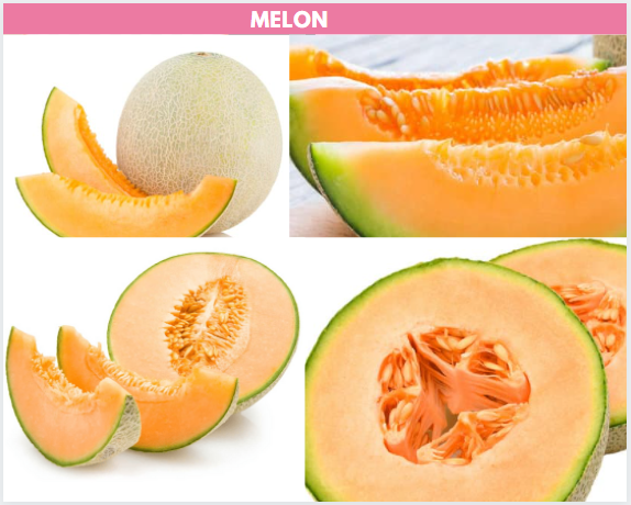 Gambar melon