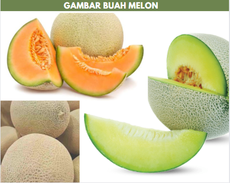 gambar buah melon