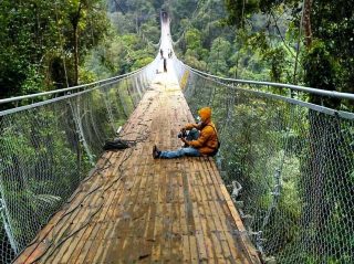 Taman Nasional Gunung Gede Pangrango