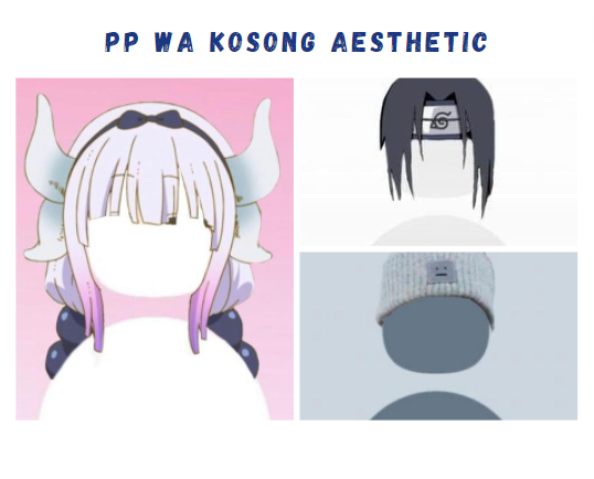 PP WA Kosong Aesthetic