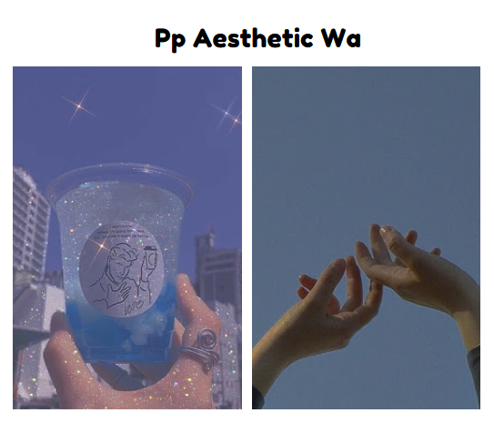 Pp Aesthetic Wa