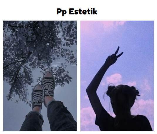 Pp Estetik