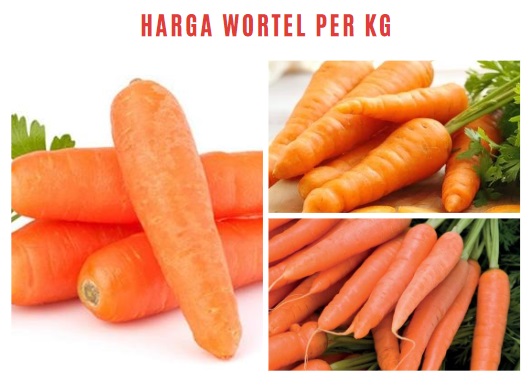 Harga Wortel Per Kg