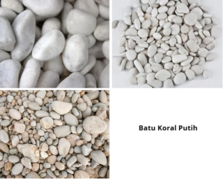 Batu Koral Putih