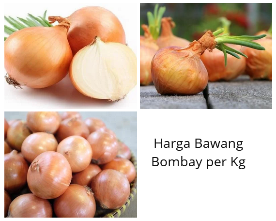 Harga Bawang Bombay per Kg